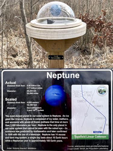 Neptune art project in February at Danvers Swamp Walk in northeast MA