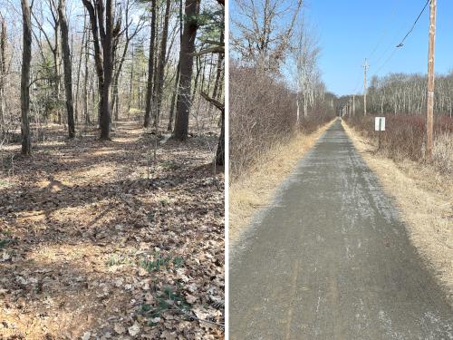 trails in February at Danvers Swamp Walk in northeast MA
