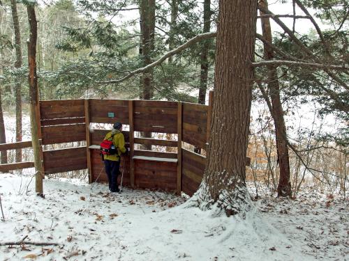 viewing blind in January at Danville Town Forest in southern New Hampshire