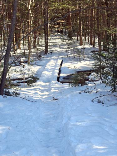 trail entrance in February at Darby Brook Conservation Area in New Hampshire