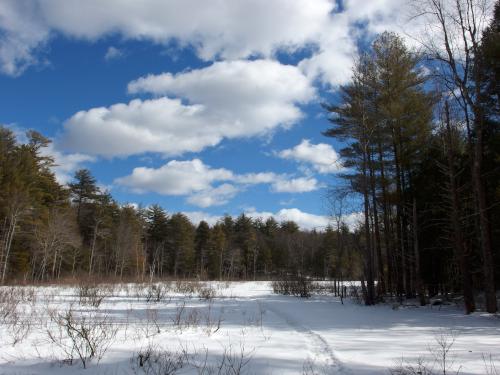 pond on Kelly Brook in February at Darby Brook Conservation Area in New Hampshire