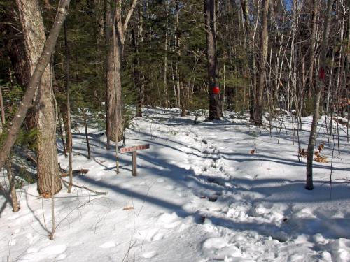 trail in February at Dearborn Forest in southern New Hampshire