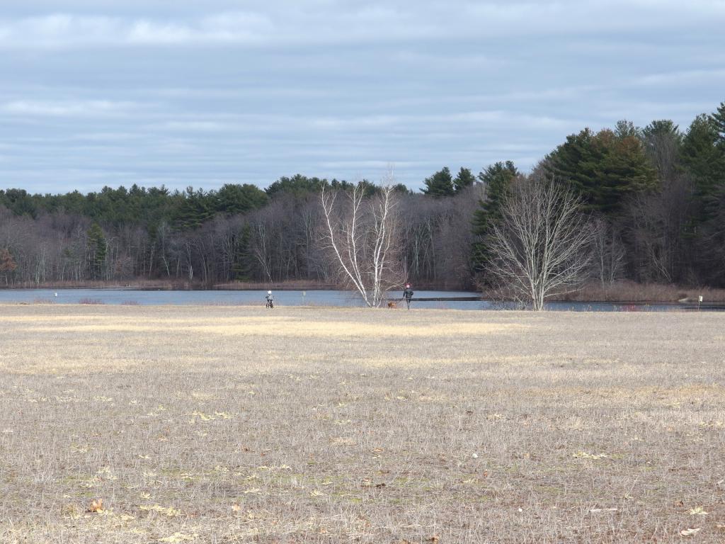 flood plain in March at Delaney Wildlife Management Area near Stow in northeastern Massachusetts