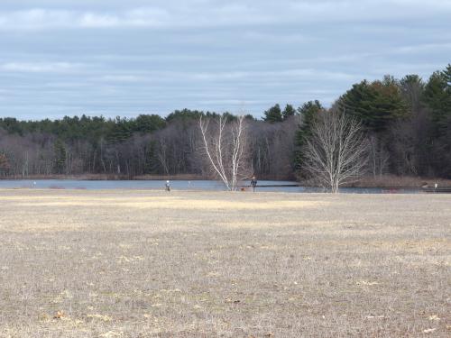 flood plain in March at Delaney Wildlife Management Area near Stow in northeastern Massachusetts
