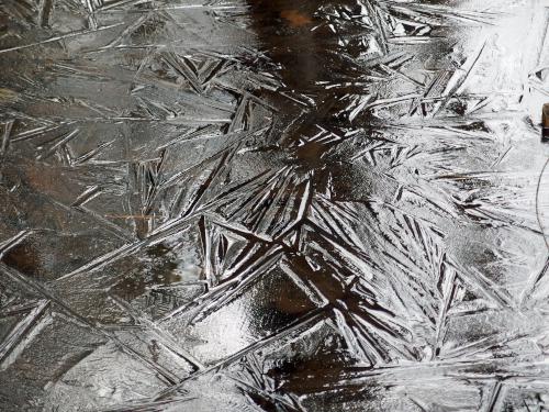 ice pattern in March at Delaney Wildlife Management Area near Stow in northeastern Massachusetts