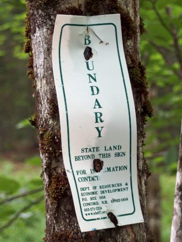 boundary marker at Diamond Pond Peak in northern New Hampshire