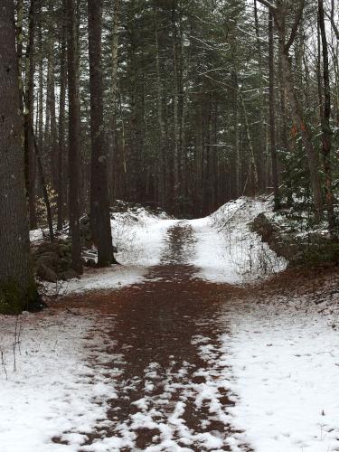 trail at Big Dickerman Town Forest in southern New Hampshire