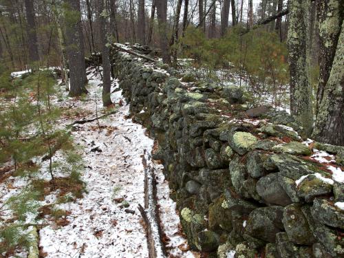 stone wall at Big Dickerman Town Forest in southern New Hampshire