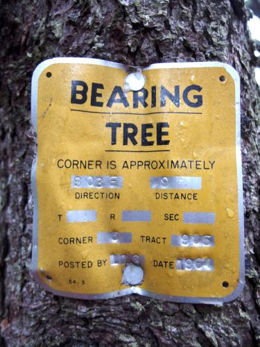 Bearing Tree sign on Doublehead North Mountain in New Hampshire