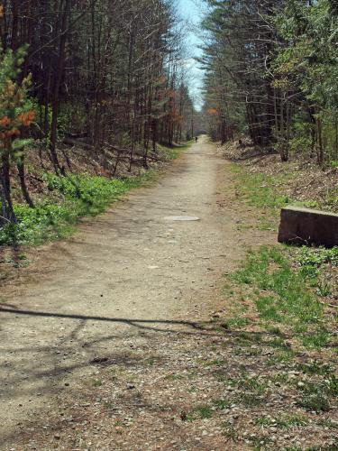 trail in April on the Dover Community Trail in southeast New Hampshire
