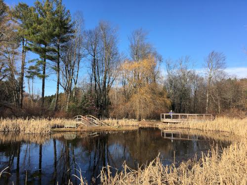 pond and viewing platform in November at Doyle Park near Leominster, Massachusetts