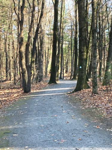 trail at Doyle Park near Leominster, Massachusetts