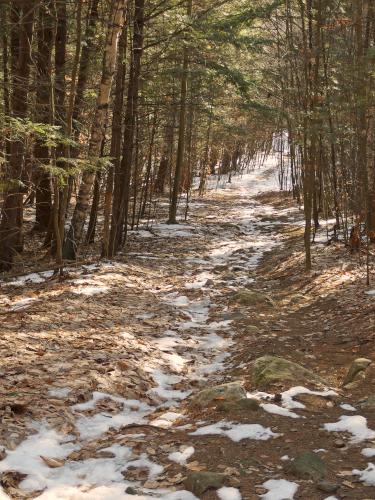 trail at Drummer Hill Conservation Area at Keene in southwest New Hampshire