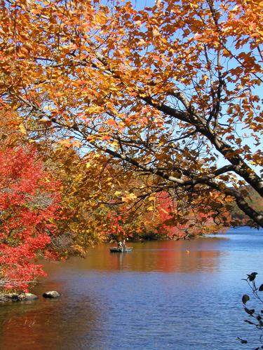 fall foliage at Dublin Lake in New Hampshire