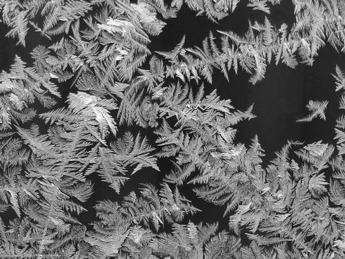 frost pattern on window glass