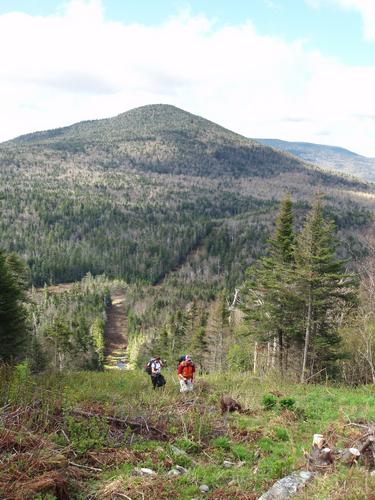 Julie, Keith and Katahdin head up the boundary swath between New Hampshire and Quebec toward Mount D'Urban