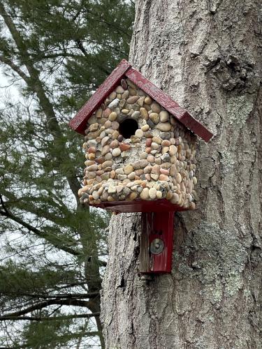 birdhouse in March at D. W. Field Park in eastern Massachusetts