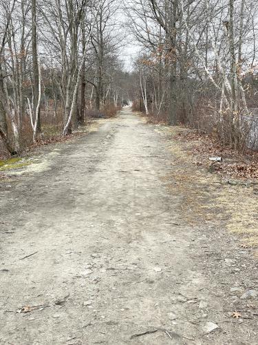 footpath in March at D. W. Field Park in eastern Massachusetts