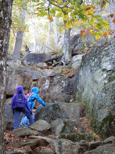 young hikers ascending the steep section of the trail to Eagle Cliff by Squam Lake in New Hampshire