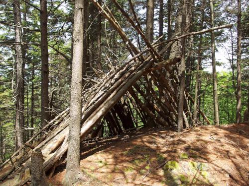 make-shift shelter on Eagle Cliff in New Hampshire