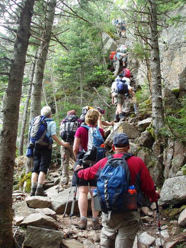 hikers ascending the Mount Osceola Trail in New Hampshire