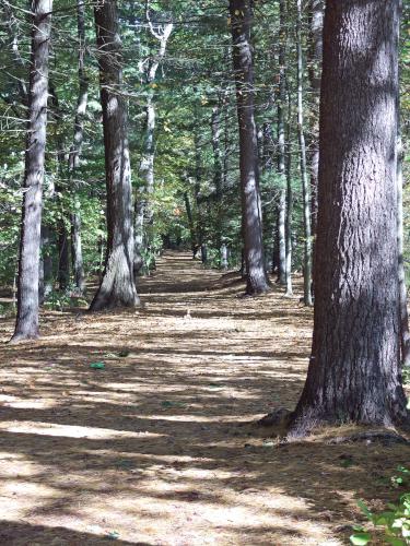 trail in September at Elm Bank Reservation in eastern MA