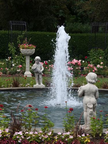 Rose Garden at Emerald Necklace in Boston, Massachusetts
