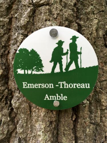blaze at Emerson-Thoreau Amble in Massachusetts
