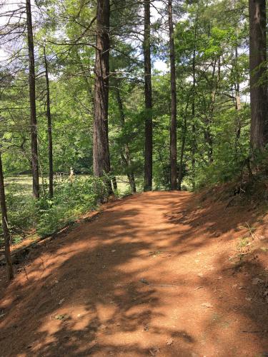 trail at Emerson-Thoreau Amble in Massachusetts