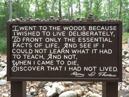 Thoreau cabin sign at Emerson-Thoreau Amble in Massachusetts