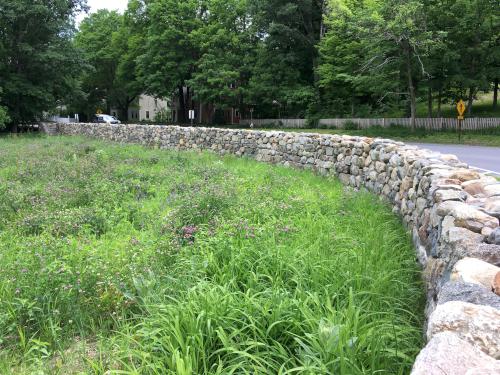 stone wall at Emerson-Thoreau Amble in Massachusetts
