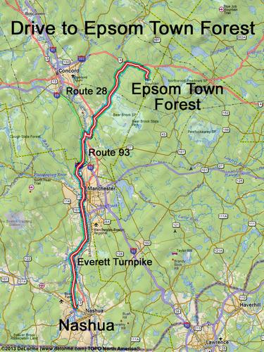 Epsom Town Forest drive route