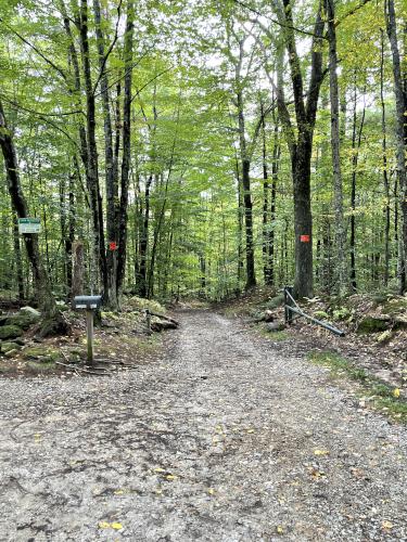 trail in October at Epsom Town Forest in southern New Hampshire
