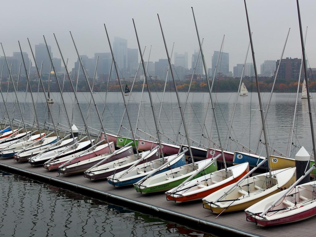 MIT sailboat squadron at Charles River Esplanade in eastern Massachusetts