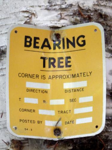 bearing-tree marker on Mount Evans in New Hampshire