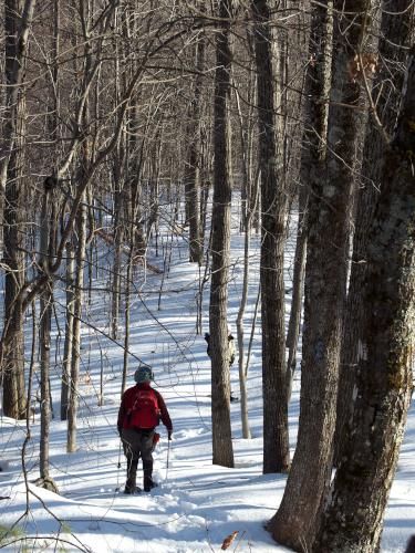 John hiked down trail through mid-winter woods at Fauver East Trail in New Hampshire