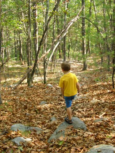 young hiker on the trail to Federal Hill in New Hampshire