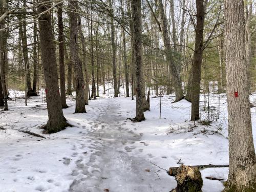 Plymouth Trail in February near Ferry Beach in New Hampshire