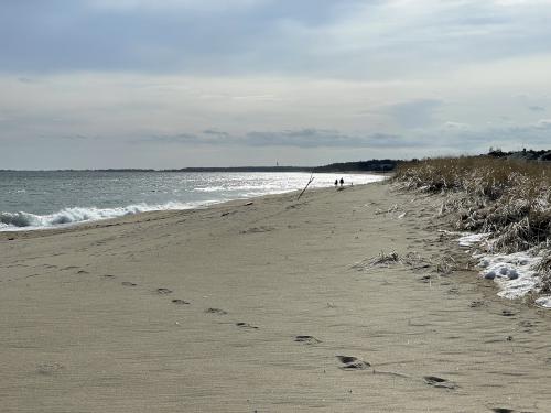 hikers in February at Ferry Beach in New Hampshire