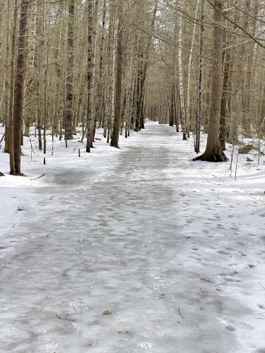 trail in February at Ferry Beach in New Hampshire