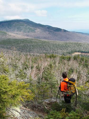 hiker on a bushwhack to Flat Mountain in New Hampshire