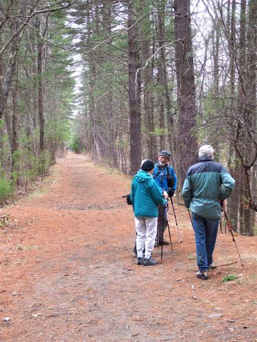 hikers on the rail trail at Dunstable in eastern Massachusetts