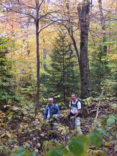 Dick and Dave amidst fading fall color on a bushwhack to Flat Top Mountain in New Hampshire