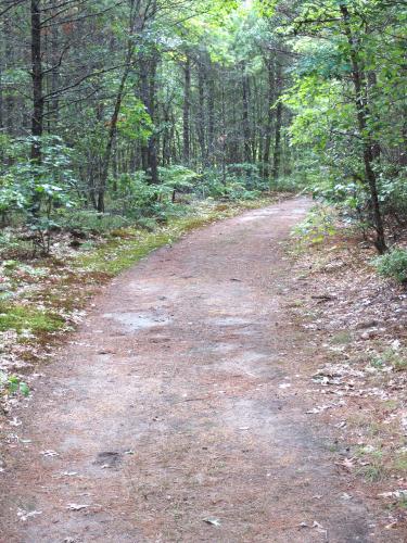 trail at Flints Brook Trail near Hollis in southern New Hampshire