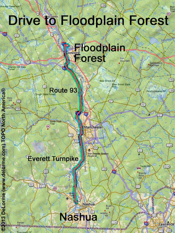 Floodplain Forest drive route