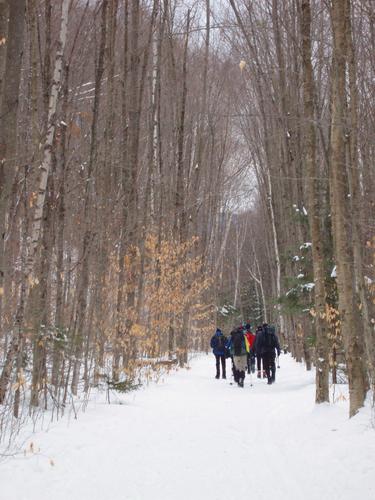 winter hikers on the Lincoln Woods Trail in New Hampshire