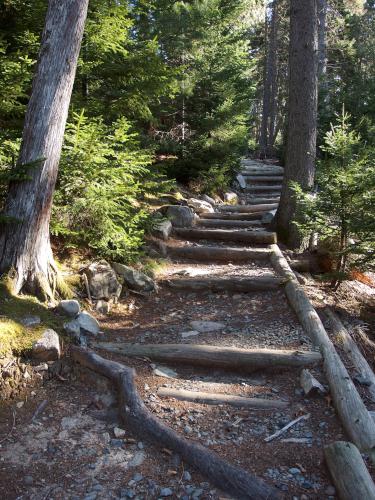 trail to Flying Mountain in Acadia Park, Maine
