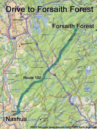 Forsaith Forest drive route