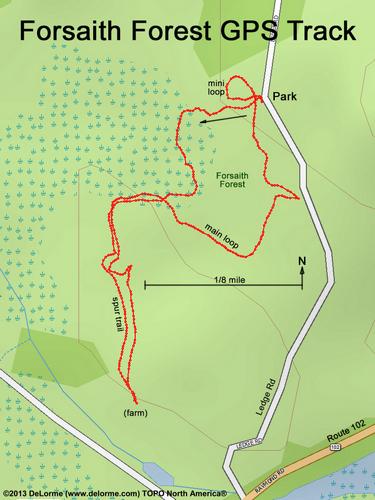 GPS track at Forsaith Forest in southern New Hampshire