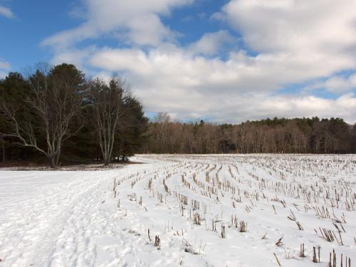 hiking trail in March circling Foss Farm near Carlisle in northeastern Massachusetts